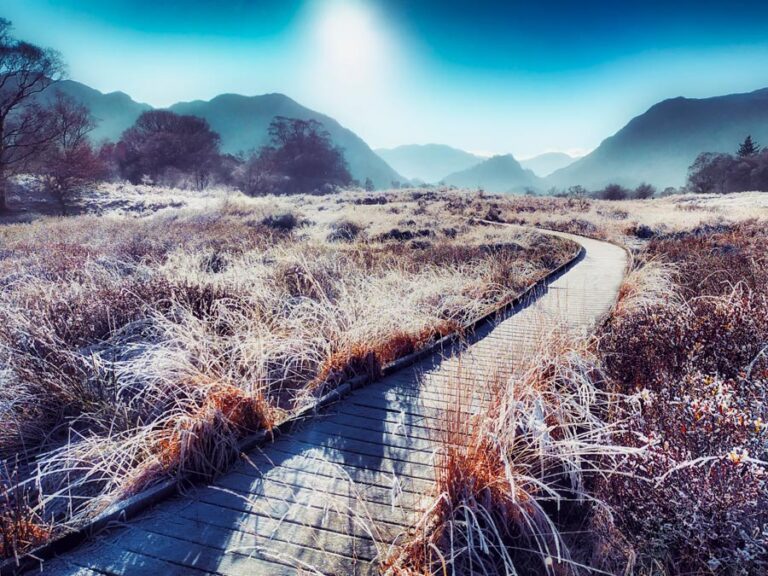 The Icewalk - Ian Nelson