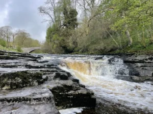 Stainforth Force