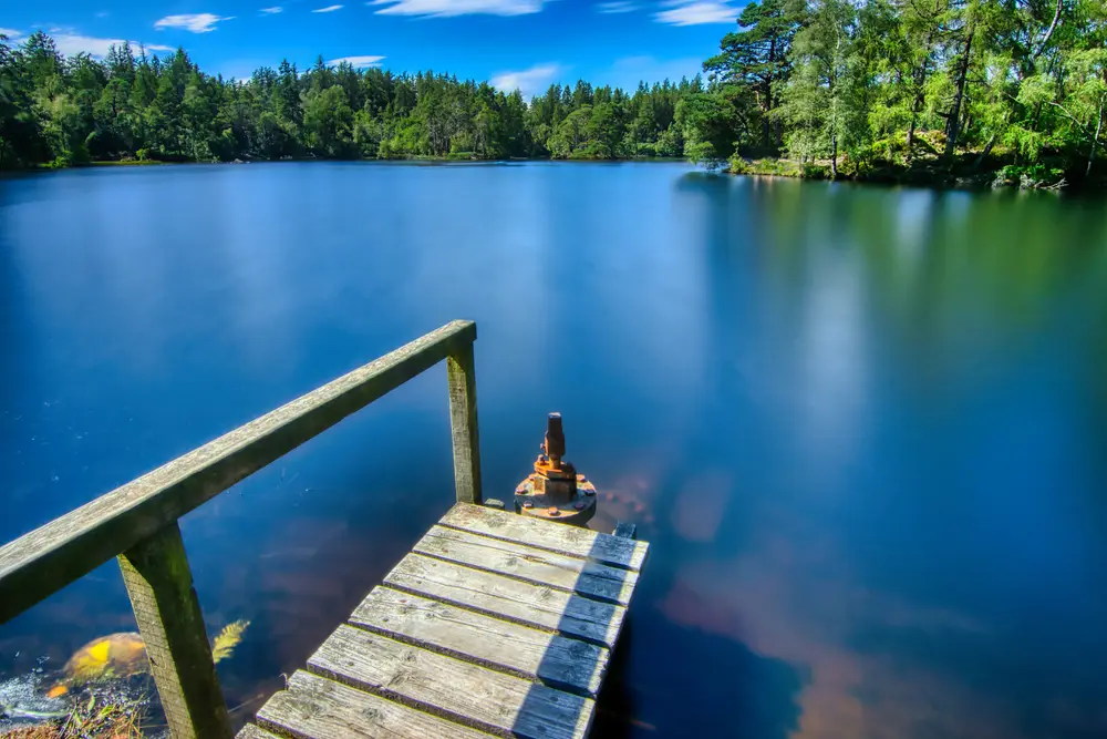 Finsthwaite Heights Society Walk - High Dam